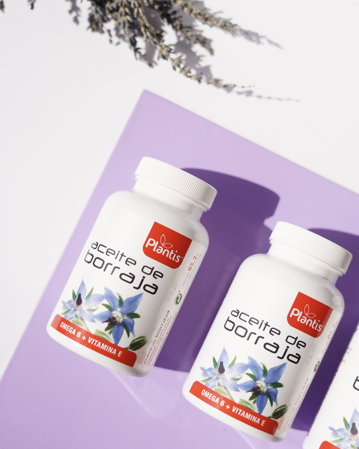 DSC00774.jpg
